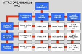 matrix-organizational-structure