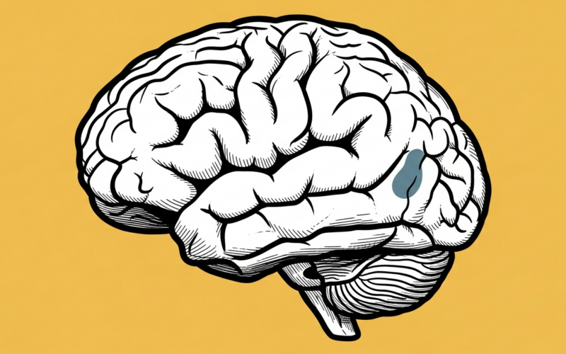 Neuromarketing Techniques: How Brain Science Drives Better Advertising