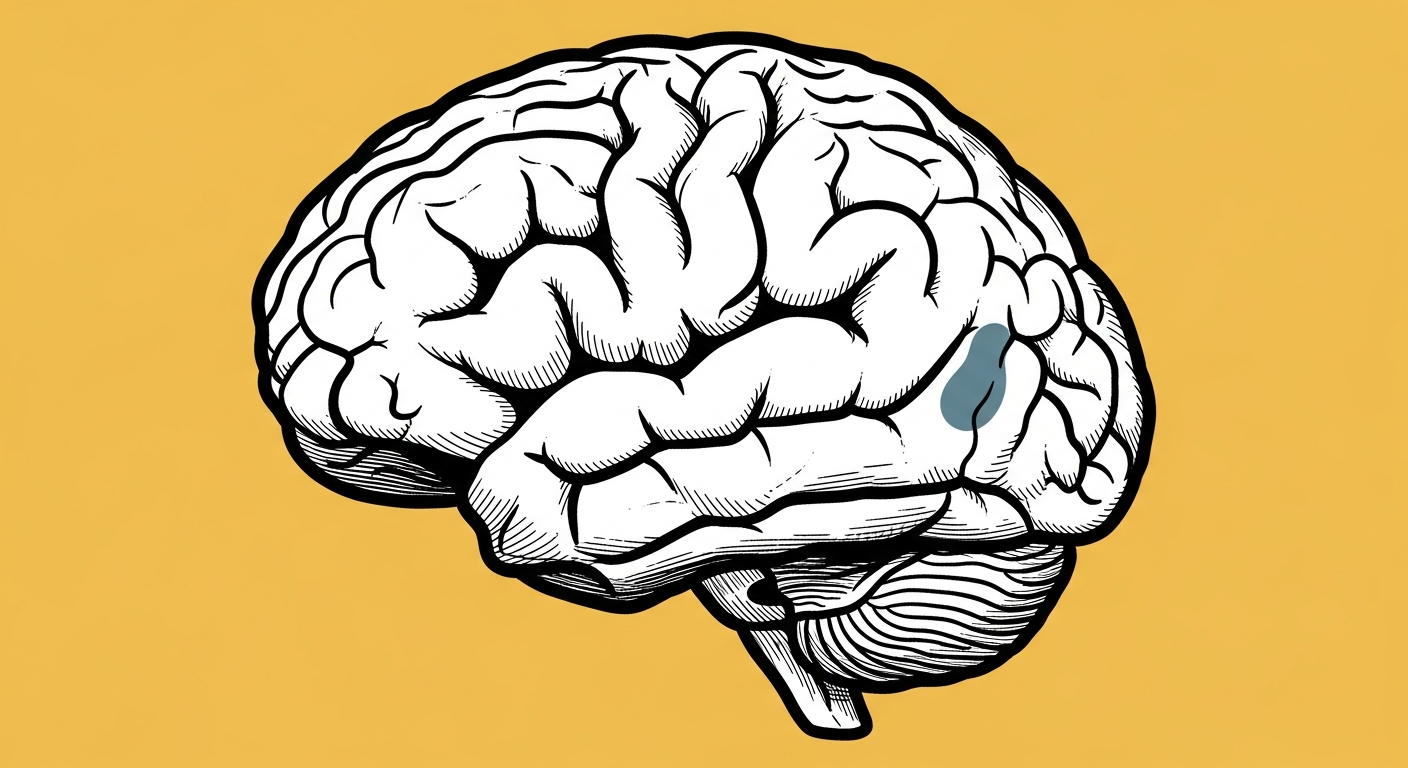 Neuromarketing Techniques: How Brain Science Drives Better Advertising